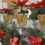 251218165050PaTZ96D_P1033300